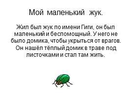 Проект ученика «Что я знаю о жуках?», слайд 6