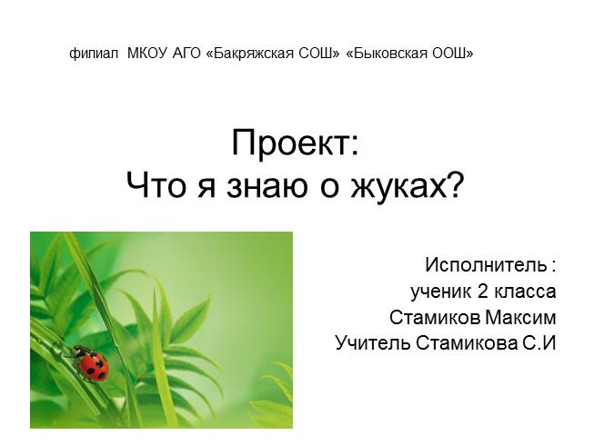 Проект ученика «Что я знаю о жуках?»