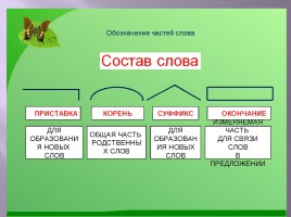 Разбор слова по составу, слайд 2