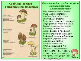 Познавательный журнал для детей «Грибок», слайд 7
