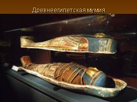 Древнеегипетская Книга мертвых, слайд 15