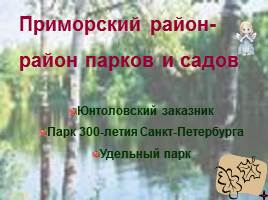 Путешествие по Приморскому району, слайд 11