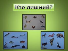 Кто такие насекомые, птицы, рыбы и звери? (1 класс), слайд 24