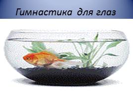 Кто такие рыбы?, слайд 25