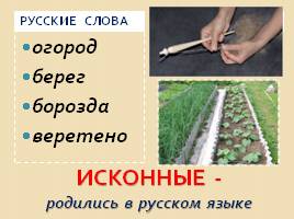 Слова исконные и заимствованные, слайд 6