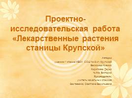 Проектно-исследовательская работа «Лекарственные растения станицы Крупской»