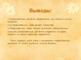 Проектно-исследовательская работа «Лекарственные растения станицы Крупской», слайд 13