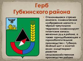 Гербы Белгородской области, слайд 10