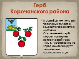Гербы Белгородской области, слайд 12