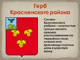 Гербы Белгородской области, слайд 13
