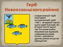 Гербы Белгородской области, слайд 16