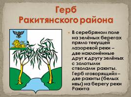 Гербы Белгородской области, слайд 18