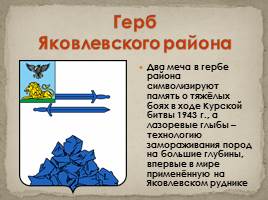Гербы Белгородской области, слайд 23