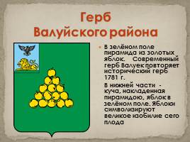 Гербы Белгородской области, слайд 6