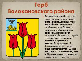 Гербы Белгородской области, слайд 8