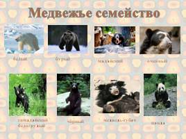 Медведь – символ России, слайд 5