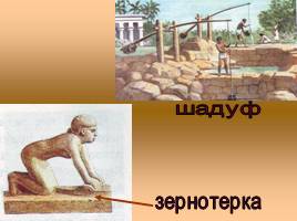 Земледельческие работы в Древнем Египте, слайд 11