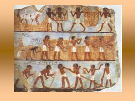 Земледельческие работы в Древнем Египте, слайд 9