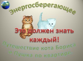 Энергосберегающее путешествие кота Бориса и Пушка по квартире, слайд 2