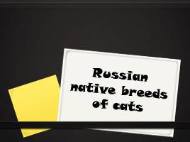 Russian native breeds of cats, слайд 1