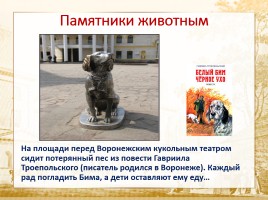 Памятники города Воронежа, слайд 32