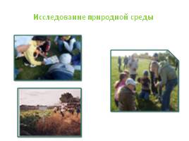 Экологическое воспитание детей на учебных занятиях, слайд 10