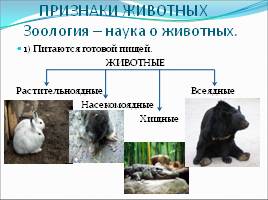 Признаки животных, слайд 2