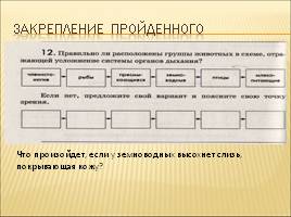 Органы дыхания и газообмен, слайд 11