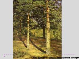 Сочинение-описание по картине И.И. Шишкина «Сосны, освещенные солнцем», слайд 19