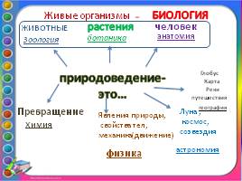 Вводный урок для 5 класса «Природоведение», слайд 16