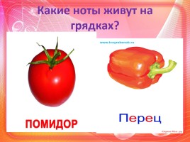 Конкурс знатоков музыки, слайд 10