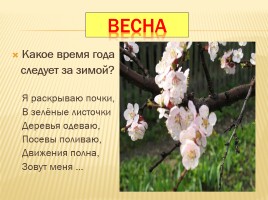 Времена года, слайд 13