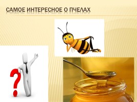 Пчёлы, слайд 3