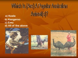 Уроки английского языка по теме «Австралия - All about Australia», слайд 20
