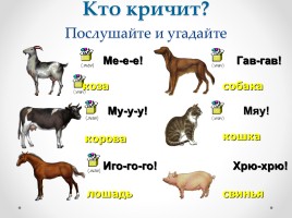 Доклад на тему «Технология использования игровых методов в школе I вида», слайд 15