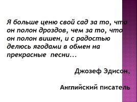 Забота о пернатых, слайд 2