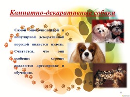 Проект «Собака - друг человека или человек - друг собаки?», слайд 11