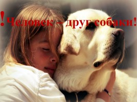 Проект «Собака - друг человека или человек - друг собаки?», слайд 15