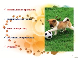 Проект «Собака - друг человека или человек - друг собаки?», слайд 16