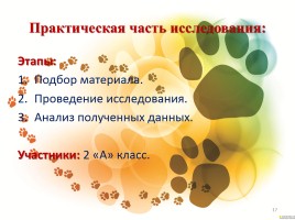 Проект «Собака - друг человека или человек - друг собаки?», слайд 17