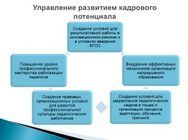 Выпускная квалификационная работа «Программа управления развитием кадрового потенциала», слайд 17