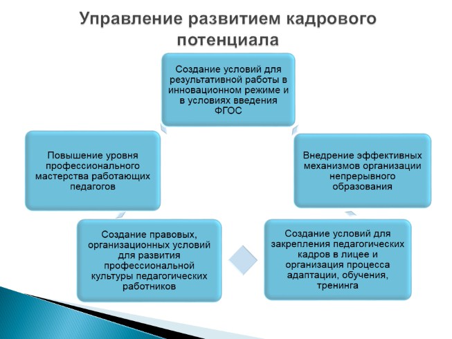 План развития кадрового потенциала