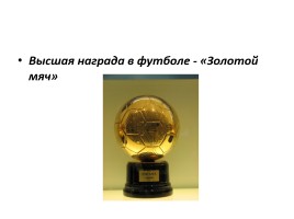 Годовой проект ученика «Известные футболисты моей страны», слайд 12