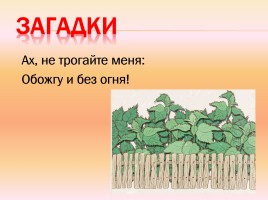 Викторина по сказкам Чуковского, слайд 12