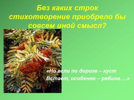 Анализ стихотворения М. Цветаевой «Тоска по родине!..», слайд 14