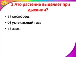 Окружающий мир 3 класс «Дыхание и питание растений», слайд 12