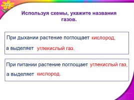 Окружающий мир 3 класс «Дыхание и питание растений», слайд 7