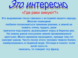 Творческий проект ученика по русскому языку «Фразеологизмы», слайд 23