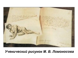 Классицизм в русской литературе М.В. Ломоносов, слайд 20