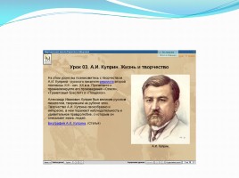 Использование ИКТ на уроках русского языка и литературы, слайд 19